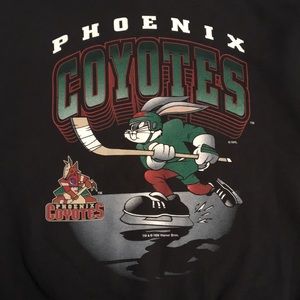 1996 vintage Phoenix coyotes crewneck long sleeve